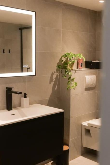Hypercentre Rue Pietonne Au Calme Apartment ตูลูส ภายนอก รูปภาพ