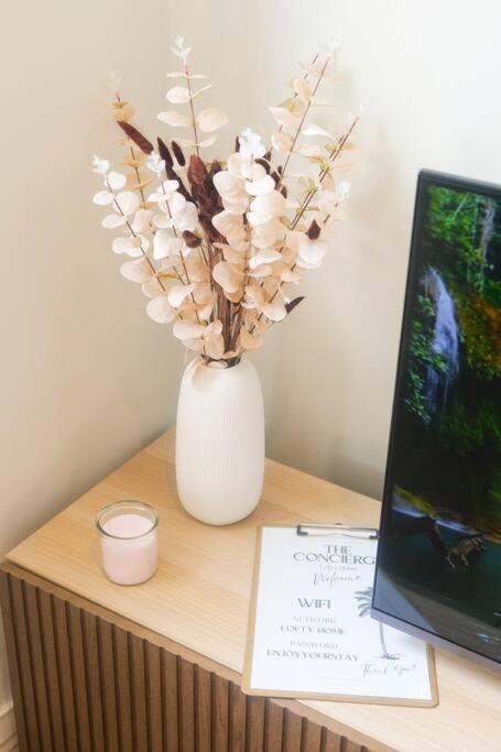 Hypercentre Rue Pietonne Au Calme Apartment ตูลูส ภายนอก รูปภาพ